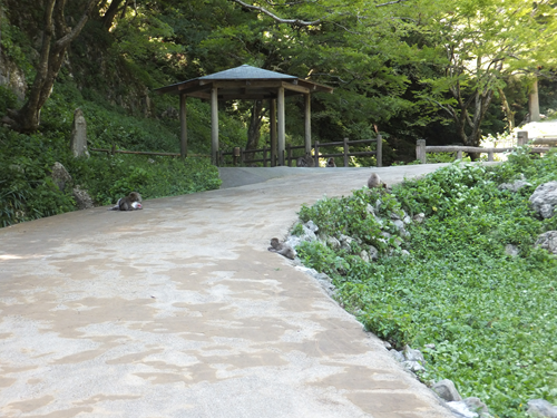 岡山 子供の遊び場～子供とお出かけ～神庭の滝
