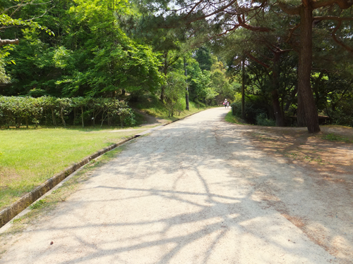 岡山 子供の遊び場～子供とお出かけ～深山公園