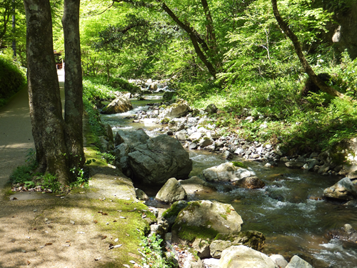 岡山 子供の遊び場～子供とお出かけ～神庭の滝