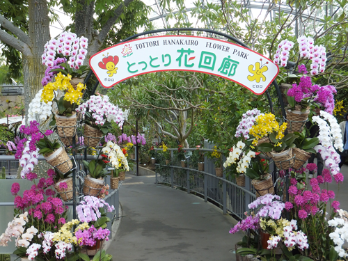 岡山 子供の遊び場～子供とお出かけ～とっとり花回廊