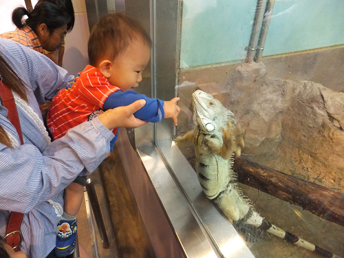 岡山 子供の遊び場～子供とお出かけ～福山市立動物園