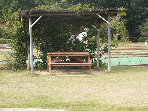 岡山 子供の遊び場～子供とお出かけ～日応寺自然の森スポーツ広場